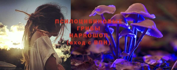 PSILOCYBIN Алексеевка