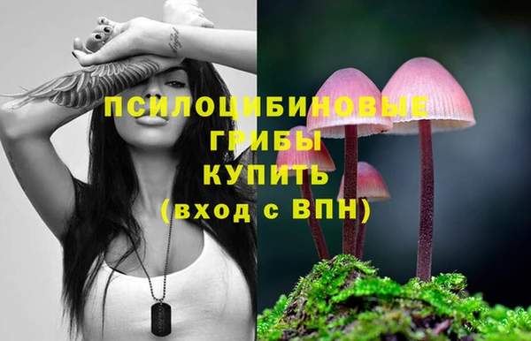 гидра Алзамай