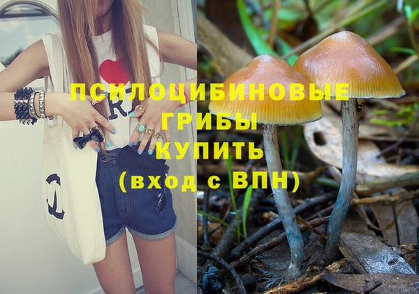 PSILOCYBIN Алексеевка