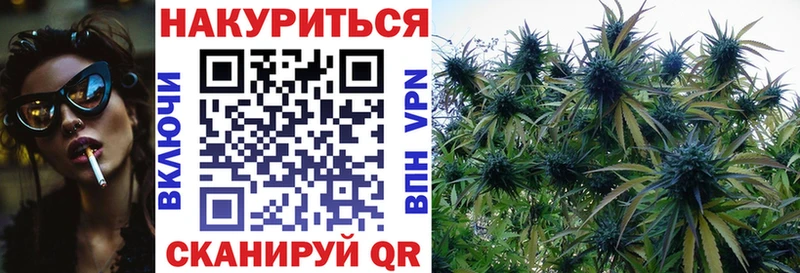 нарко площадка наркотические препараты  Любань  Бошки марихуана индика 