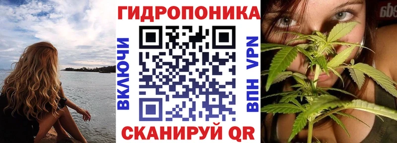 Бошки Шишки THC 21% Любань